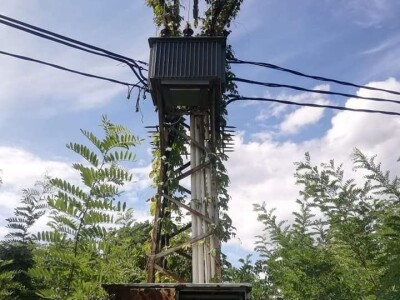 Bandere "progutalo" rastinje