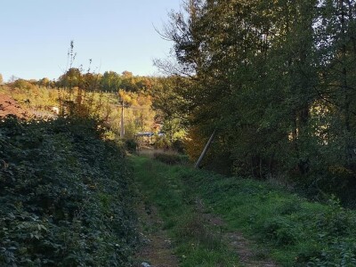 Bandere "progutalo" rastinje