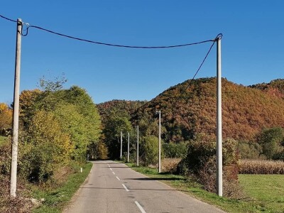 Bandere "progutalo" rastinje