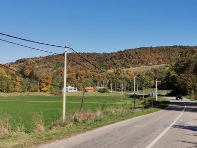 Bandere "progutalo" rastinje