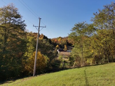 Bandere "progutalo" rastinje