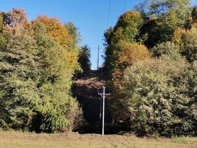 Bandere "progutalo" rastinje