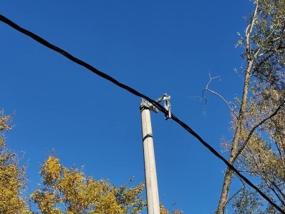 Bandere "progutalo" rastinje