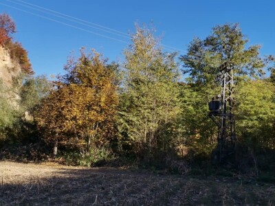 Bandere "progutalo" rastinje