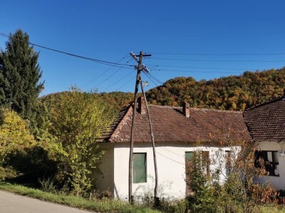 Bandere "progutalo" rastinje