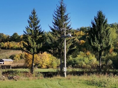 Bandere "progutalo" rastinje