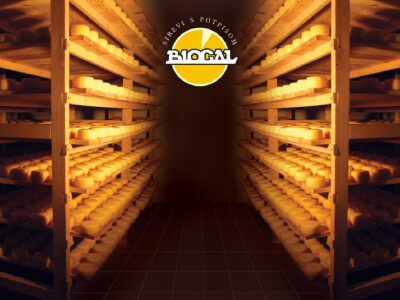 Sirevi s plemenitom plijesni su budućnost