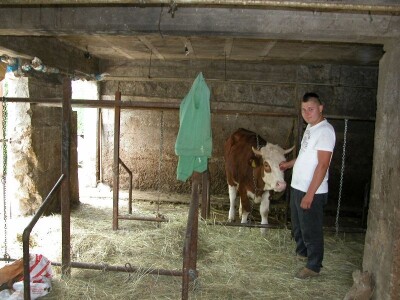 Detalj u štali na farmi OPG Banić u Otoku Dalmatinskom