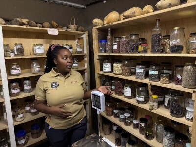 Banka sjemena u Keniji Banka sjemena u Keniji