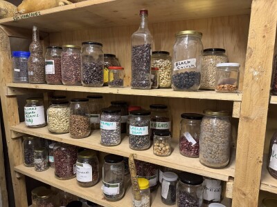 Banka sjemena u Keniji Banka sjemena u Keniji