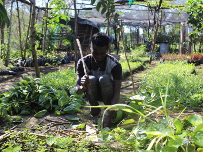 Banka sjemena u Keniji