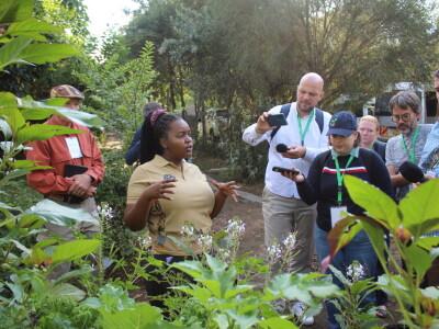 Banka sjemena u Keniji Banka sjemena u Keniji
