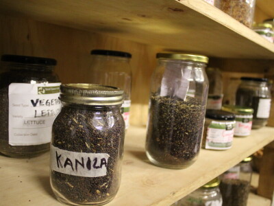 Banka sjemena u Keniji Banka sjemena u Keniji