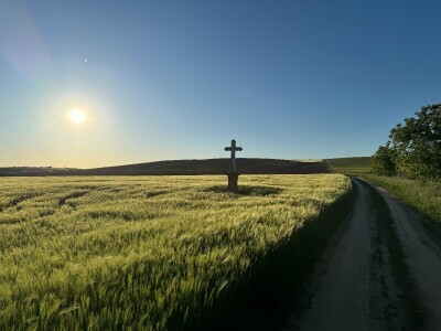 Banovo brdo pred smiraj dana