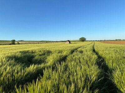 Banovo brdo pred smiraj dana