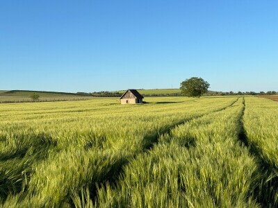Banovo brdo pred smiraj dana