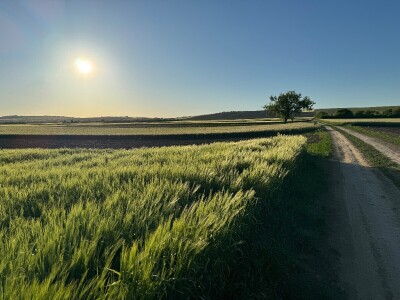 Banovo brdo pred smiraj dana