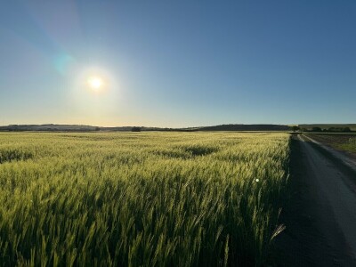Banovo brdo pred smiraj dana