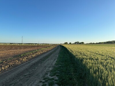 Banovo brdo pred smiraj dana