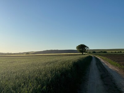 Banovo brdo pred smiraj dana