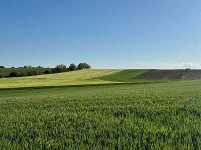 Banovo brdo pred smiraj dana