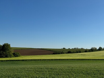 Banovo brdo pred smiraj dana