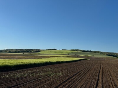 Banovo brdo pred smiraj dana