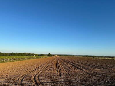 Banovo brdo pred smiraj dana