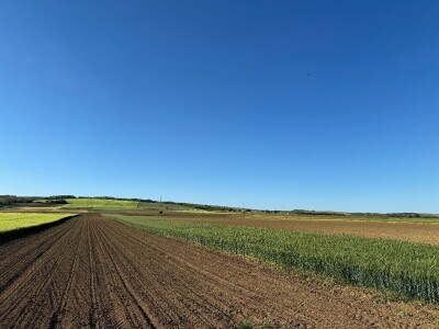 Banovo brdo pred smiraj dana