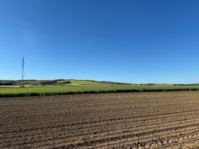 Banovo brdo pred smiraj dana