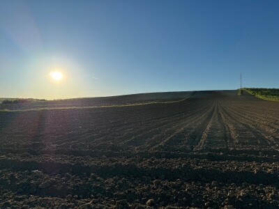 Banovo brdo pred smiraj dana