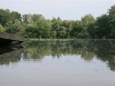 Baranja