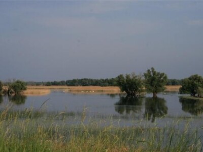 Baranja