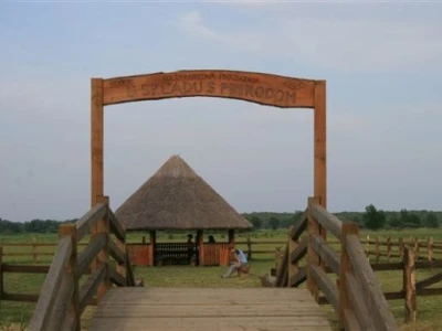 Baranja