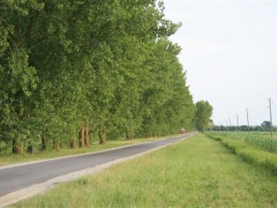 Baranja