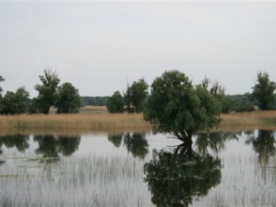 Baranja