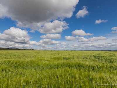 Baranja kroz objektiv lokalnog fotografa