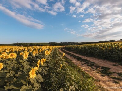 Baranja kroz objektiv lokalnog fotografa