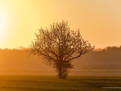 Baranja kroz objektiv lokalnog fotografa