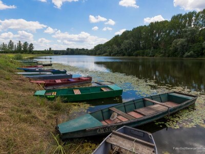 Baranja kroz objektiv lokalnog fotografa