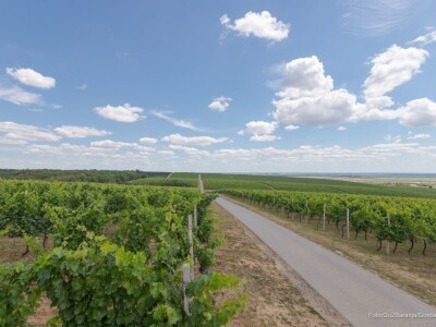 Baranja kroz objektiv lokalnog fotografa