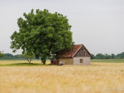 Baranja kroz objektiv lokalnog fotografa