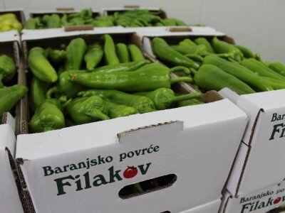 Baranjsko voće i povrće Filakov