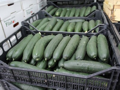 Baranjsko voće i povrće Filakov