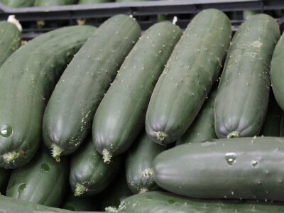 Baranjsko voće i povrće Filakov