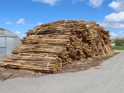 Baranjsko voće i povrće Filakov
