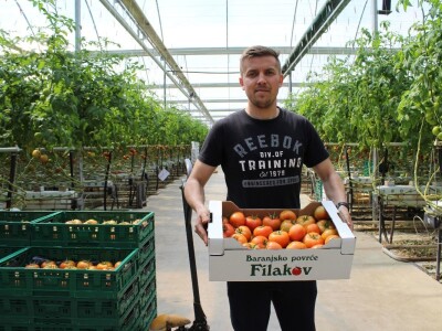 Baranjsko voće i povrće Filakov