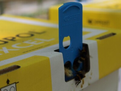 Baranjsko voće i povrće Filakov