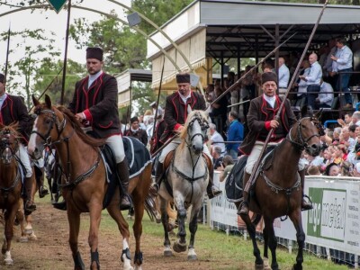 Barban - 50. Trka na prstenac