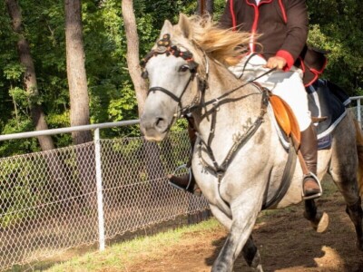 Barban - 50. Trka na prstenac